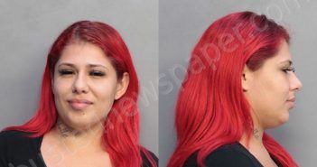 ALLEN, CAROLYNE | 2018-07-05 17:02:00 Miami-Dade County, Florida Booking