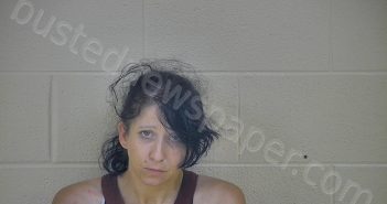 JENNIFER HOLDERFIELD | 2018-07-05 08:20:00 Taylor County, Kentucky Booking