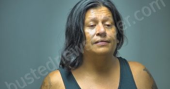 HOWARD JAMES CAMPO | 2018-07-09 23:37:00 Isabella County, Michigan Booking