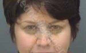 KENNEDY, JENI RENEE | 2018-07-09 10:29:31 Pinellas County, Florida Booking