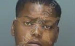 WEEKS, LESTER | 2018-07-09 10:10:56 Pinellas County, Florida Booking