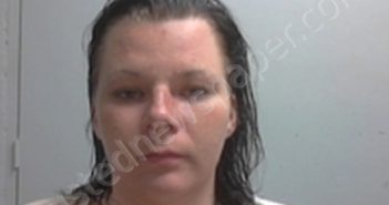 BRANDY LYNN PURSCELL | 2018-07-10 15:30:00 Livingston County, Missouri Booking