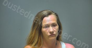 MACKENZIE MARIE LOUGHIN | 2018-07-10 09:54:00 Isabella County, Michigan Booking