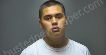 DAVID ANTHONY LEAUREAUX | 2018-07-10 01:58:00 Isabella County, Michigan Booking