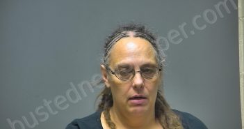 MARY MALACHI WILBUR | 2018-07-10 17:29:00 Isabella County, Michigan Booking