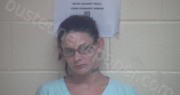 DESTINEE PAGIE STONE | 2018-07-10 13:07:00 Webster County, Kentucky Booking