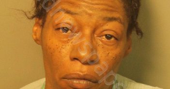 JOHNSON, LILLIE MAE | 2018-07-11 18:00:00 Jefferson County, Alabama Booking