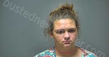 DESTINY RENEE WIERSEMA | 2018-07-11 01:50:00 Isabella County, Michigan Booking