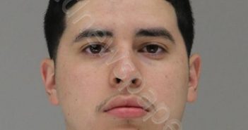 GUEVARA, LUIS | 2018-07-12 02:17:00 Dallas County, Texas Booking