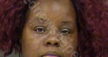 <B>JOHNSON</B>, <B>KIMBERLY</B> ANTOINETTE #, Mecklenburg County, North Carolina - 2018-07-13 22:19:00