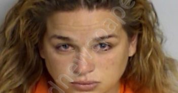 REY, GIOVANNA CARMEN | 2018-07-14 11:50:35 Bradford County, Florida Booking