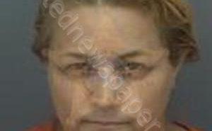 GARCIA-QUESADA, MAYTE | 2018-07-15 19:20:55 Pinellas County, Florida Booking