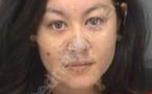 CHONG, KRISTEN LOUISE | 2018-07-15 18:49:52 Pinellas County, Florida Booking