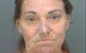 MCMULLEN, NICKI JO | 2018-07-15 19:21:31 Pinellas County, Florida Booking