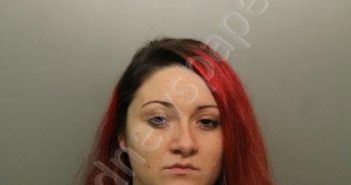 DIXON, PADEN NICOLE | 2018-07-16 09:00:00 Ohio County, West Virginia Booking