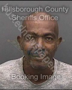 WALKER, WALDO FELIX | 2018-07-19 09:20:00 Hillsborough County, Florida Booking