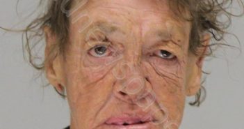 POWELL, BARBARA | 2018-07-20 17:12:00 Dallas County, Texas Booking