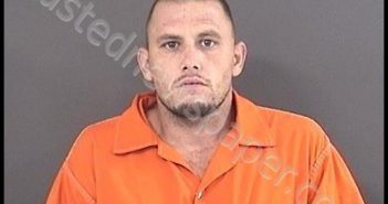 HENRITZE, MICHAEL RAY JUNIOR | 2018-07-20 02:53:00 Roanoke County, Virginia Booking