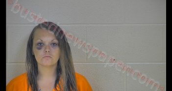 JENNIFER L HICKS | 2018-07-20 10:22:00 Taylor County, Kentucky Booking