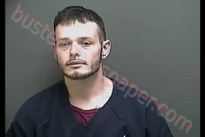 ZANE EDWARD HOLLOMAN | 2018-07-21 23:43:20 Howard County, Indiana Booking