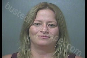 ASHLEY C GREEN | 2018-07-21 22:35:36 Vigo County, Indiana Booking