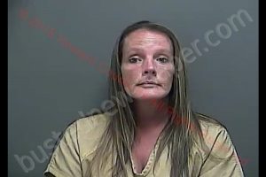 CASSANDRA MARIE STOUT | 2018-07-24 18:52:00 Howard County, Indiana Booking