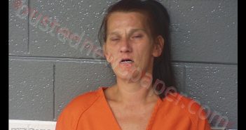 <B>LISA</B> <B>MARIE</B> <B>TYNES</B> #, Fulton County, Kentucky - 2018-07-26 02:25:00