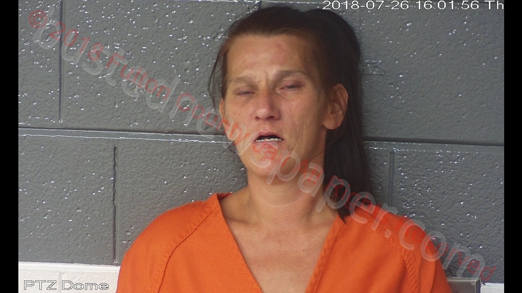 LISA MARIE TYNES #, Fulton County, Kentucky - 2018-07-26 02:25:00