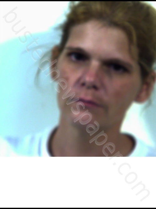 SAMANTHA D SHEPPARD #, Rockbridge Regional Jail, Virginia - 2018-07-27 18:59:00