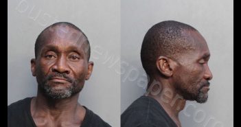 <B>YOUNG</B>, <B>NATHAN</B> BERNARD #, Miami-Dade County, Florida - 2018-07-27 19:25:00