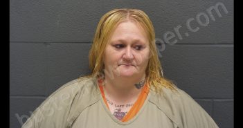 BRANDI NICHOLE ENDICOTT | 2018-07-28 07:21:00 Montgomery County, Indiana Booking