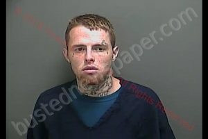 COLE ROBERT DAVID LANE | 2018-07-30 09:45:00 Howard County, Indiana Booking