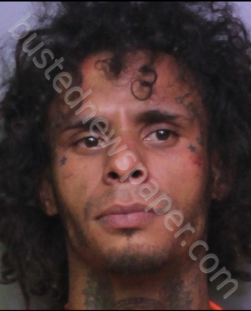 GUZMAN JR, ROMAN #, Polk County, Florida - 2018-07-31