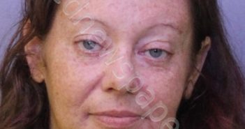 <B>HALL</B>, <B>ERICA</B> <B>ELIZABETH</B> #, Polk County, Florida - 2018-07-31