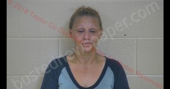 SHERRI E GILES | 2018-08-01 22:37:00 Taylor County, Kentucky Booking