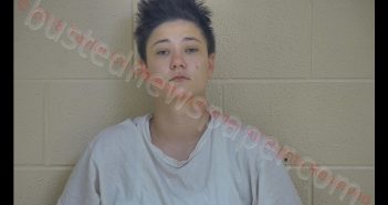 BRANDI’LYN N PROCTOR | 2018-08-01 17:04:00 Taylor County, Kentucky Booking