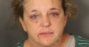 DUNN, ALANNA RAE | 2018-08-01 00:04:00 Jefferson County, Alabama Booking