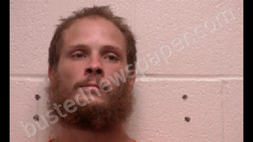 HARRIS, WILLIAM CORY #, Robertson County, Tennessee - 2018-08-01 22:30:00