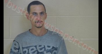 CHRISTOPHER B CLARK | 2018-08-02 21:53:00 Taylor County, Kentucky Booking