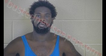 DAVID C JOHNSON | 2018-08-02 08:33:00 Taylor County, Kentucky Booking