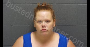 TAMMY LEE HARTER | 2018-08-02 03:40:00 Montgomery County, Indiana Booking