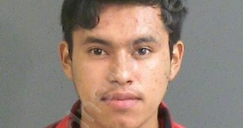 DELVALLE-GOMEZ, WIDMAN ALEXANDER | 2018-08-03 21:46:00 Charleston County, South Carolina Booking