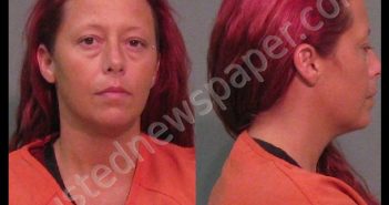 <B>COOK</B>, <B>AMY</B> MICHELLE #, York County, South Carolina - 2018-08-03 00:03:20