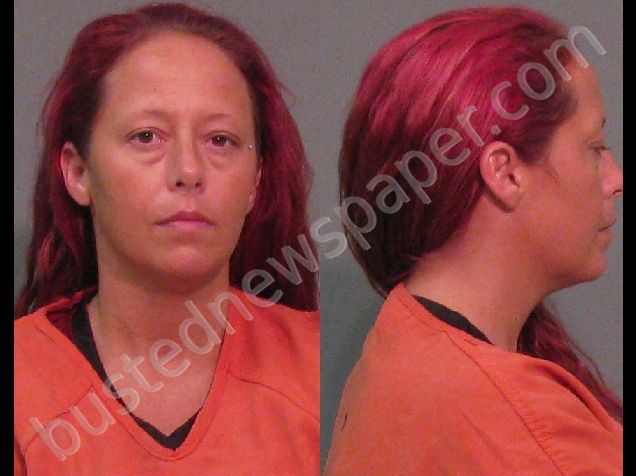 COOK, AMY MICHELLE #, York County, South Carolina - 2018-08-03 00:03:20