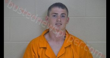 TIMOTHY M RIBARICH | 2018-08-03 20:08:00 Taylor County, Kentucky Booking