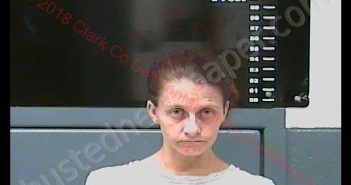 <B>PAULA</B> <B>MICHELLE</B> <B>MAIDEN</B> #, Clark County, Kentucky - 2018-08-03 23:47:00