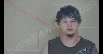 TROY MONTGOMERY | 2018-08-04 18:07:00 Taylor County, Kentucky Booking