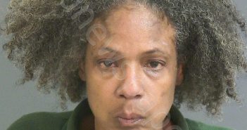 GREENE, LEISHA GABERIAL | 2018-08-04 06:37:00 Charleston County, South Carolina Booking