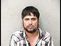 VEGA ORTIZ LUIS ENRIQUE | 2018-08-05 Gratiot County, Michigan Booking