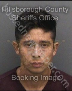 REYESMONTERROSO, HENRRY ESTUARDO | 2018-08-05 22:35:00 Hillsborough County, Florida Booking